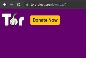 Making a Tor Version of Your Site